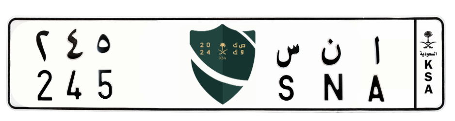 لوحة ا ن س 245